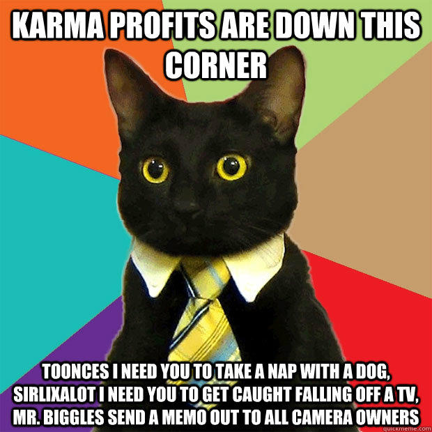 karma profits are down this corner toonces i need you to take a nap with a dog, sirlixalot i need you to get caught falling off a tv, mr. biggles send a memo out to all camera owners  Business Cat