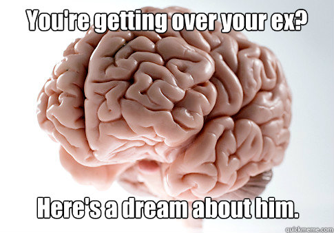 You're getting over your ex? Here's a dream about him.   Scumbag Brain