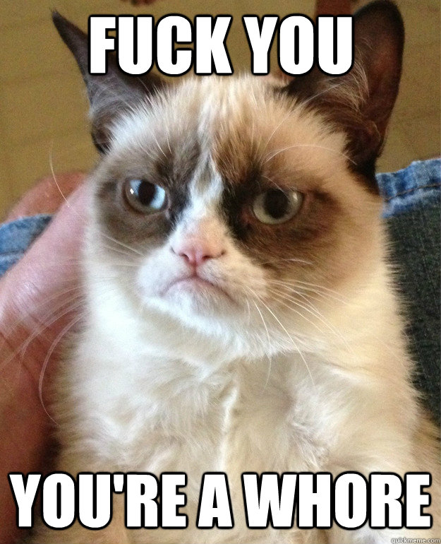 Fuck you You're a Whore  Grumpy Cat