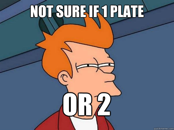 Not sure if 1 plate or 2  Futurama Fry