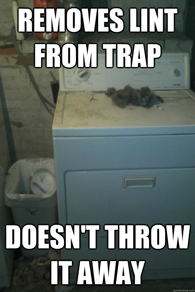 Removes lint from trap Doesn't throw it away  Scumbag Roommate