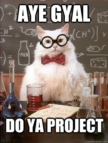 aye gyal do ya project  - aye gyal do ya project   Chemistry Cat