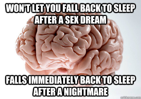 Won't let you fall back to sleep after a sex dream Falls immediately back to sleep after a nightmare  Scumbag Brain