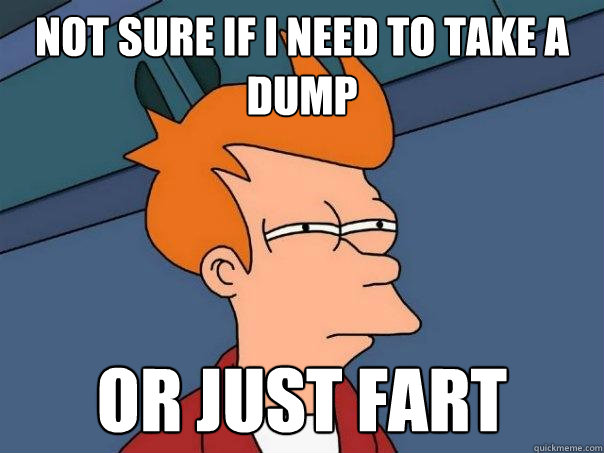 Not sure if I need to take a dump or just fart  Futurama Fry