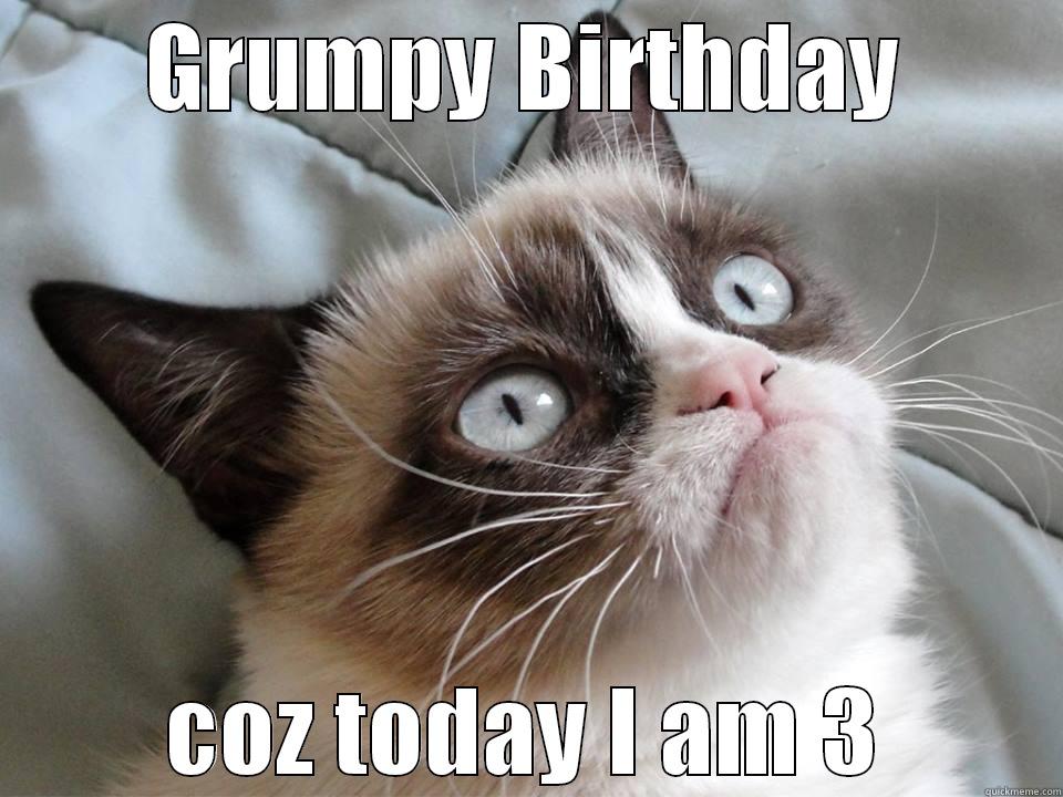 GRUMPY BIRTHDAY COZ TODAY I AM 3 Misc