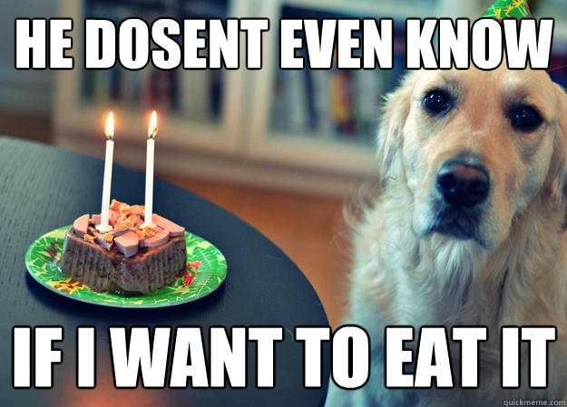 he dosent even know if i want to eat it  Sad Birthday Dog