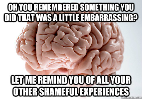 oh you remembered something you did that was a little embarrassing? let me remind you of all your other shameful experiences  Scumbag Brain