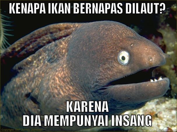 KENAPA IKAN BERNAPAS DILAUT? KARENA DIA MEMPUNYAI INSANG Bad Joke Eel