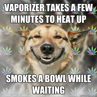 Vaporizer takes a few minutes to heat up smokes a bowl while waiting  Stoner Dog