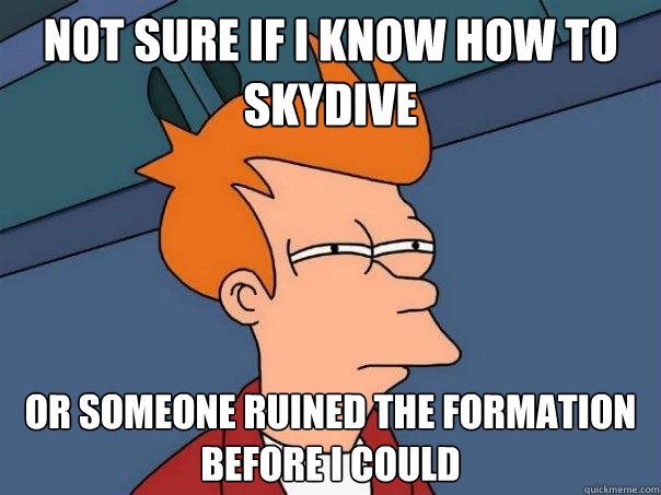 Not sure if I know how to skydive Or someone ruined the formation before I could  Futurama Fry