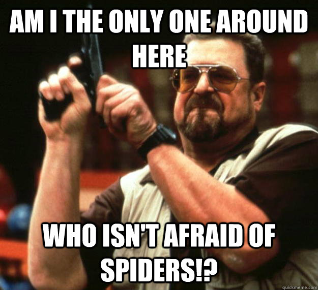 am I the only one around here who isn't afraid of spiders!?  Angry Walter