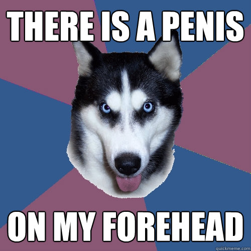 There is a Penis on my forehead - There is a Penis on my forehead  Creeper Canine