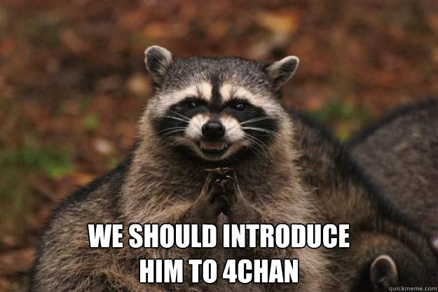  We should introduce 
him to 4chan   Evil Plotting Raccoon