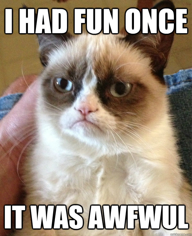 I had fun once It was awfwul  Grumpy Cat