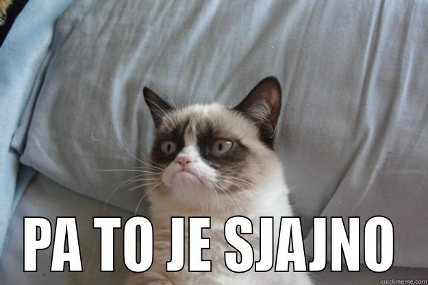  PA TO JE SJAJNO Grumpy Cat