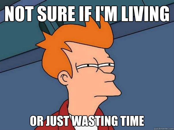 Not sure if I'm Living or just wasting time  Futurama Fry