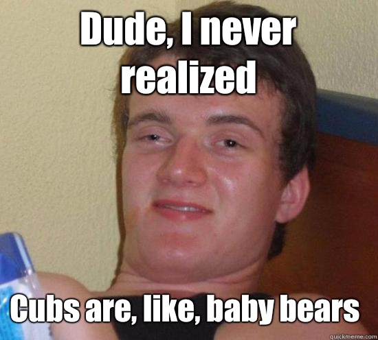 Dude, I never realized  Cubs are, like, baby bears  10 Guy