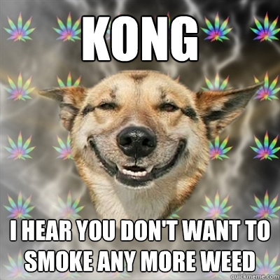 KONG I HEAR YOU DON'T WANT TO SMOKE ANY MORE WEED  Stoner Dog