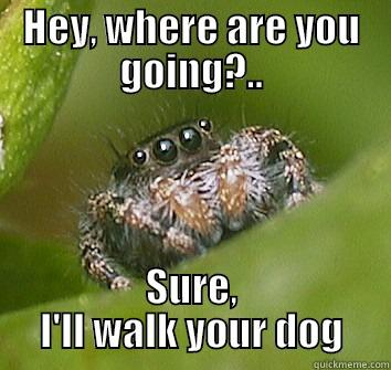 HEY, WHERE ARE YOU GOING?.. SURE, I'LL WALK YOUR DOG Misunderstood Spider