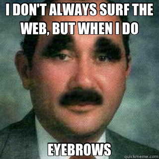 I DON'T ALWAYS SURF THE WEB, BUT WHEN I DO EYEBROWS - I DON'T ALWAYS SURF THE WEB, BUT WHEN I DO EYEBROWS  Misc