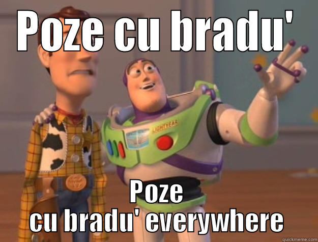 POZE CU BRADU' POZE CU BRADU' EVERYWHERE Toy Story