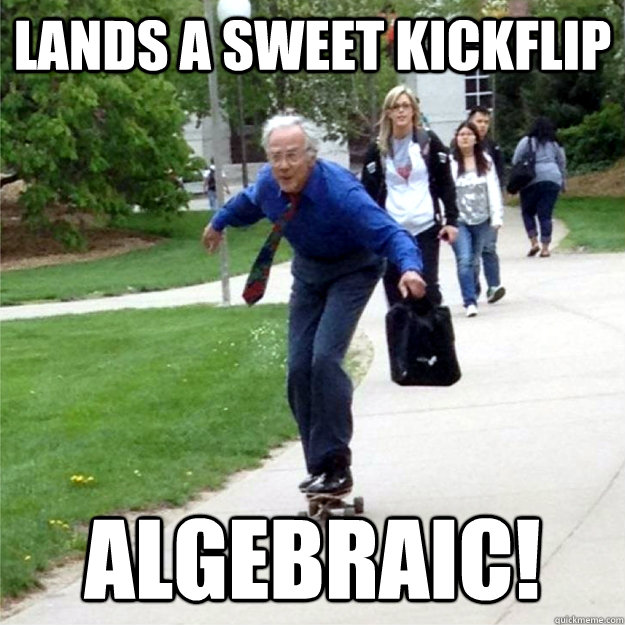 Lands a sweet kickflip algebraic!  Skating Prof