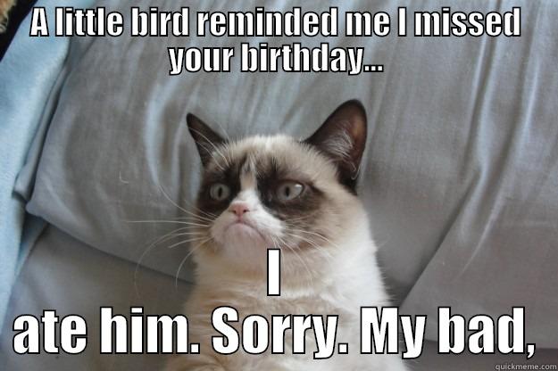 A LITTLE BIRD REMINDED ME I MISSED YOUR BIRTHDAY... I ATE HIM. SORRY. MY BAD, Grumpy Cat