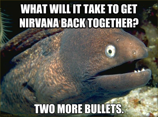 What will it take to get nirvana back together? Two More Bullets.  Bad Joke Eel