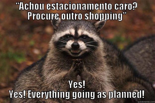 “ACHOU ESTACIONAMENTO CARO? PROCURE OUTRO SHOPPING” YES! YES! EVERYTHING GOING AS PLANNED! Evil Plotting Raccoon