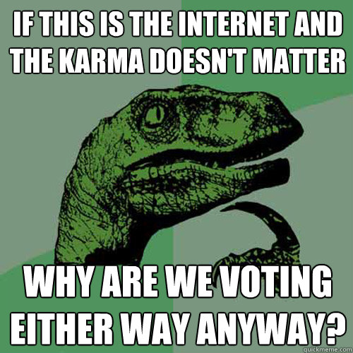 If this is the internet and the karma doesn't matter why are we voting either way anyway?  Philosoraptor