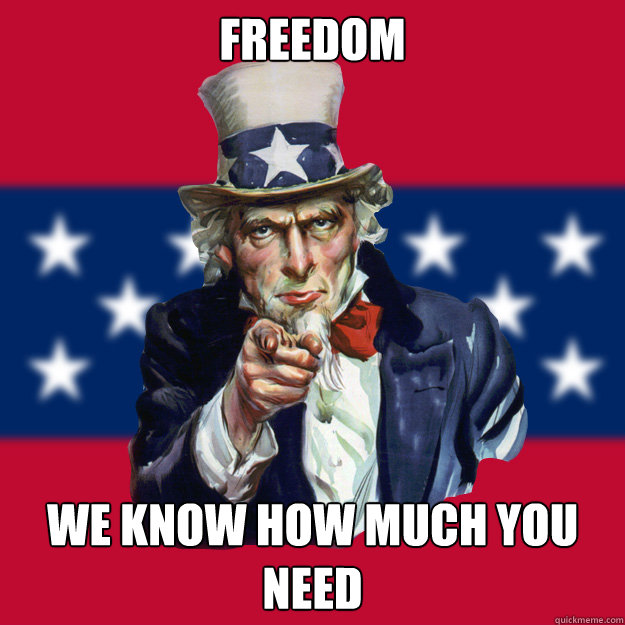 Freedom We know how much you need  Uncle Sam