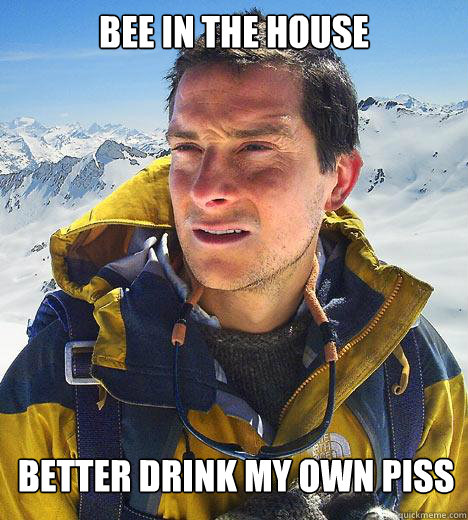 Bee in the house better drink my own piss
 - Bee in the house better drink my own piss
  Bear Grylls