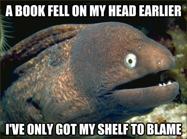 A book fell on my head earlier i've only got my shelf to blame  Bad Joke Eel