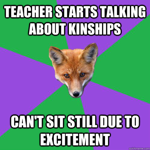 Teacher starts talking about kinships Can't sit still due to excitement  - Teacher starts talking about kinships Can't sit still due to excitement   Anthropology Major Fox