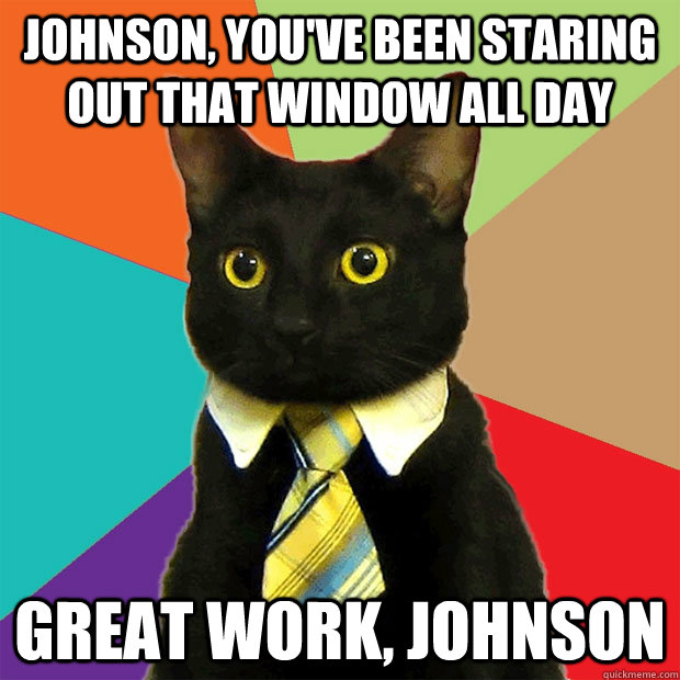 Johnson, you've been staring out that window all day Great work, Johnson  Business Cat