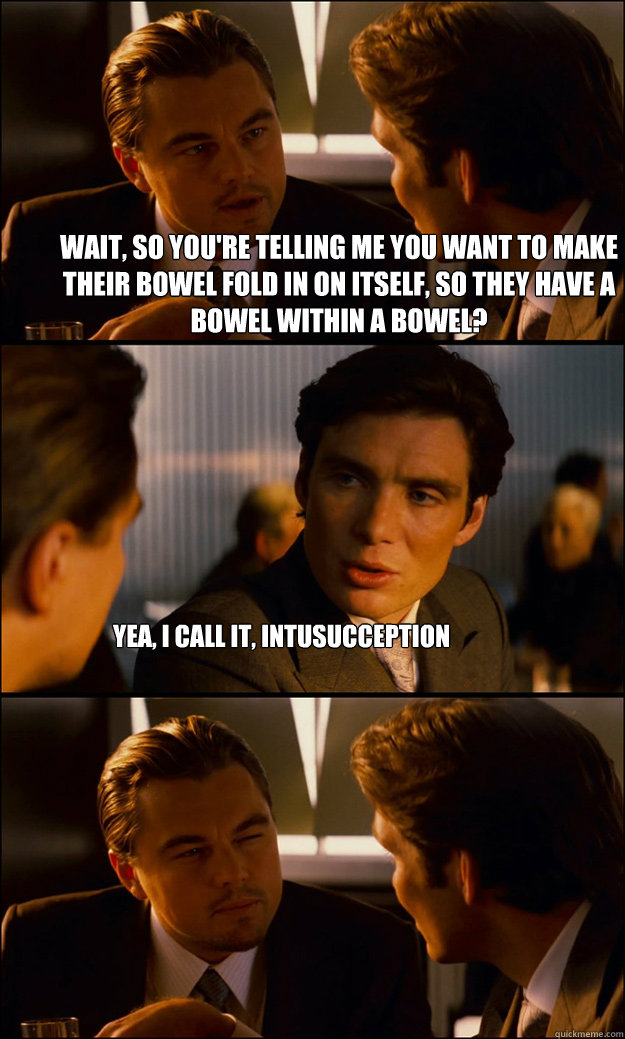 Wait, so you're telling me you want to make their bowel fold in on itself, so they have a bowel within a bowel? Yea, I call it, intusucception  Inception