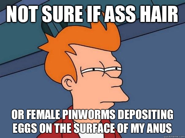 Not sure if ass hair Or female pinworms depositing eggs on the surface of my anus  Futurama Fry