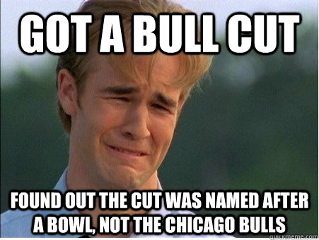 Got a Bull cut Found out the cut was named after a bowl, not the Chicago Bulls  1990s Problems