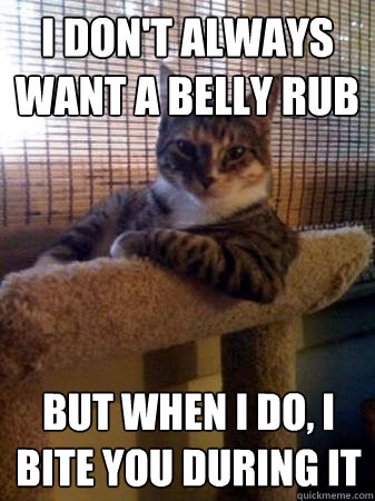 I don't always want a belly rub but when I do, I bite you during it  The Most Interesting Cat in the World