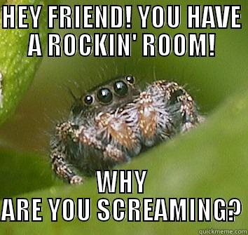 HEY FRIEND! YOU HAVE A ROCKIN' ROOM! WHY ARE YOU SCREAMING? Misunderstood Spider