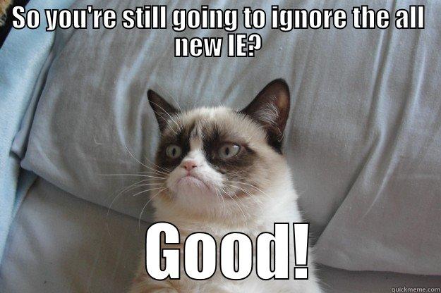 SO YOU'RE STILL GOING TO IGNORE THE ALL NEW IE?    GOOD!  Grumpy Cat