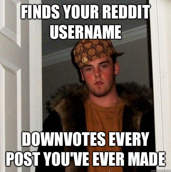 Finds your reddit username downvotes every post you've ever made  Scumbag Steve