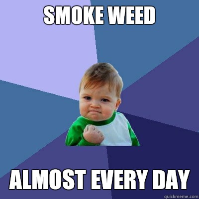 Smoke weed Almost every day  Success Kid