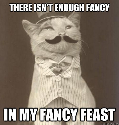 There isn't enough fancy In my fancy feast - There isn't enough fancy In my fancy feast  Original Business Cat