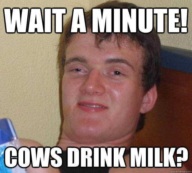 WAIT A MINUTE! COWS DRINK MILK?  10 Guy