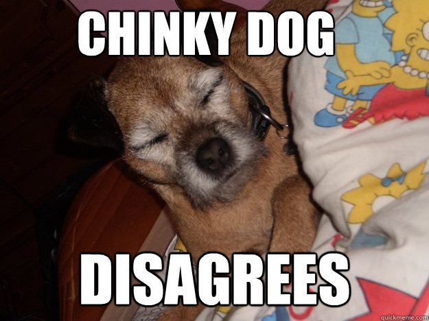 Chinky Dog disagrees - Chinky Dog disagrees  Chinky Dog