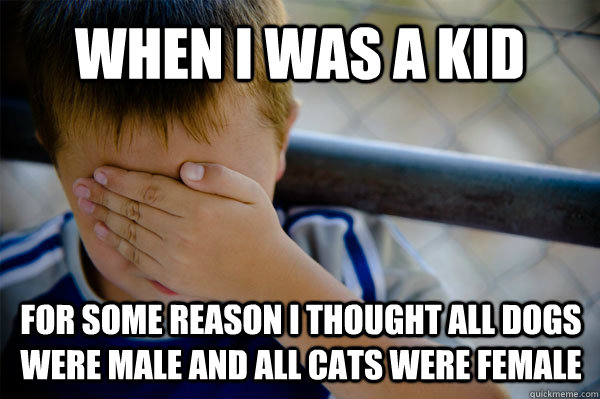 when i was a kid for some reason i thought all dogs were male and all cats were female  Confession kid