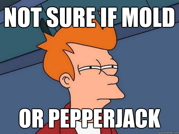 not sure if mold or pepperjack  Futurama Fry