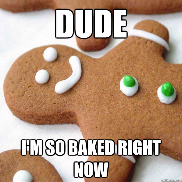 Dude I'm so baked right now - Dude I'm so baked right now  Misc