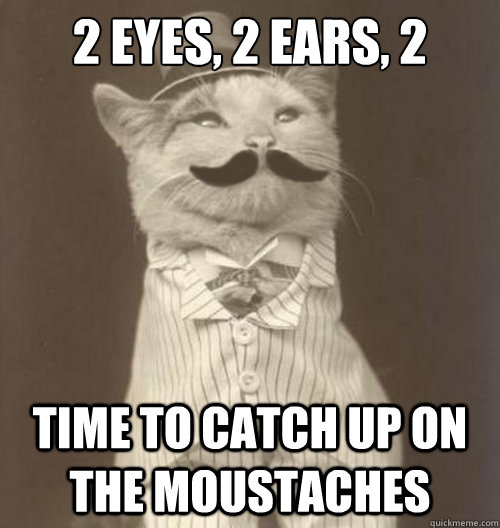 2 eyes, 2 ears, 2 nostrils time to catch up on the moustaches  Original Business Cat